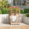 Planter with Shelf Solid Wood Pine