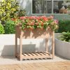 Planter with Shelf Solid Wood Pine