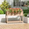 Planter with Shelf Solid Wood Pine