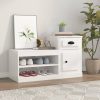 Shoe Cabinet 100x42x60 cm Engineered Wood
