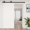 Barn Door Solid Wood Pine