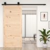 Barn Door Solid Wood Pine