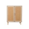 Storage Cabinet Rattan Dresser Chest of Drawers Tallboy Wooden Cabinet