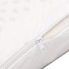 Natural Latex Pillow Classic Twin Pack
