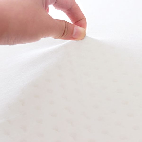 Natural Latex Pillow Classic Twin Pack
