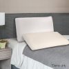 Natural Latex Pillow Classic Twin Pack