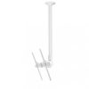 Atdec Telehook 30-70 Ceiling Mount Tilt Long – White
