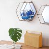 Hexagon Hanging Mirror for Home Decoration (Rose Gold Color)
