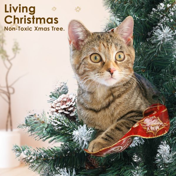 Home Ready 210cm 1290 tips Green Snowy Christmas Tree Xmas – 5ft, Pine Cones + Bauble Balls