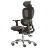 Ergonomic Mesh Home & Office Chair 3D Adjustable Armrest Seat High Back Desk Computer Chair