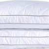 2 x King Size Pillow with free 2 x King pillow cases