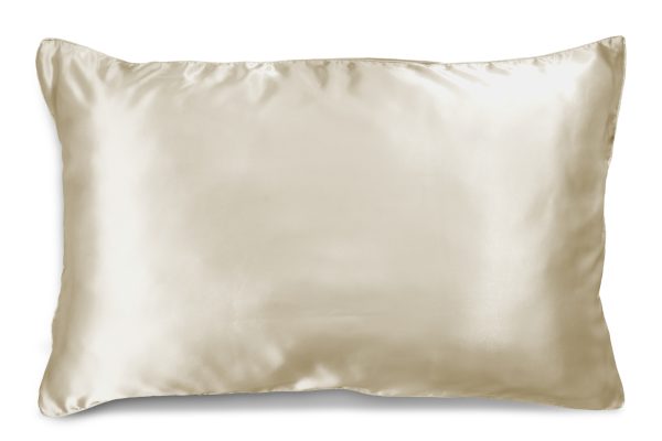 Ivory Dreams SILK PILLOWCASE – 51X76CM