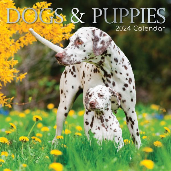 Dogs & Puppies – 2024 Square Wall Calendar Pets Animals 16 Month Premium Planner
