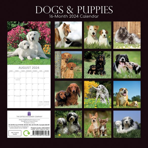 Dogs & Puppies – 2024 Square Wall Calendar Pets Animals 16 Month Premium Planner