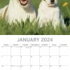 Dogs & Puppies – 2024 Square Wall Calendar Pets Animals 16 Month Premium Planner