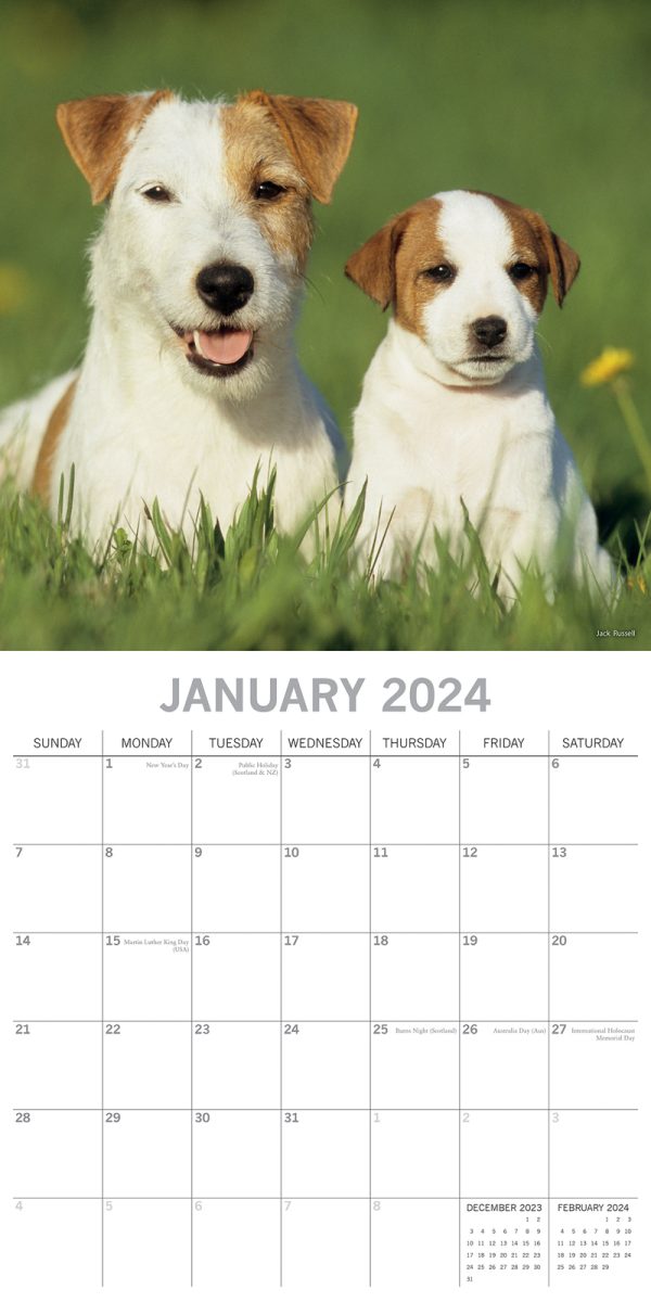 Dogs & Puppies – 2024 Square Wall Calendar Pets Animals 16 Month Premium Planner