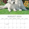 Dogs & Puppies – 2024 Square Wall Calendar Pets Animals 16 Month Premium Planner