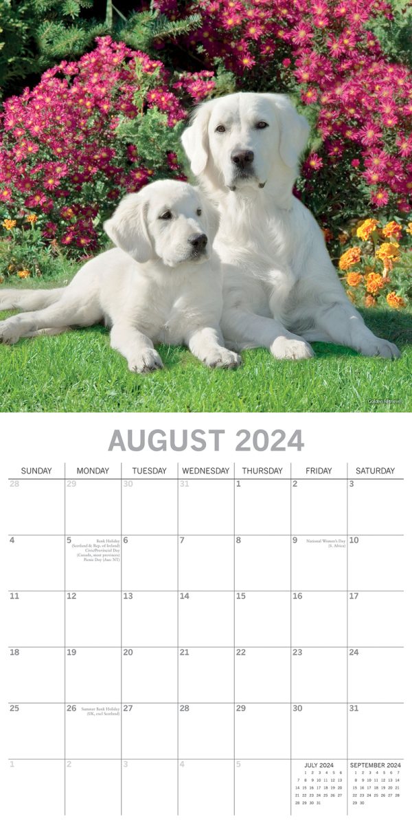 Dogs & Puppies – 2024 Square Wall Calendar Pets Animals 16 Month Premium Planner