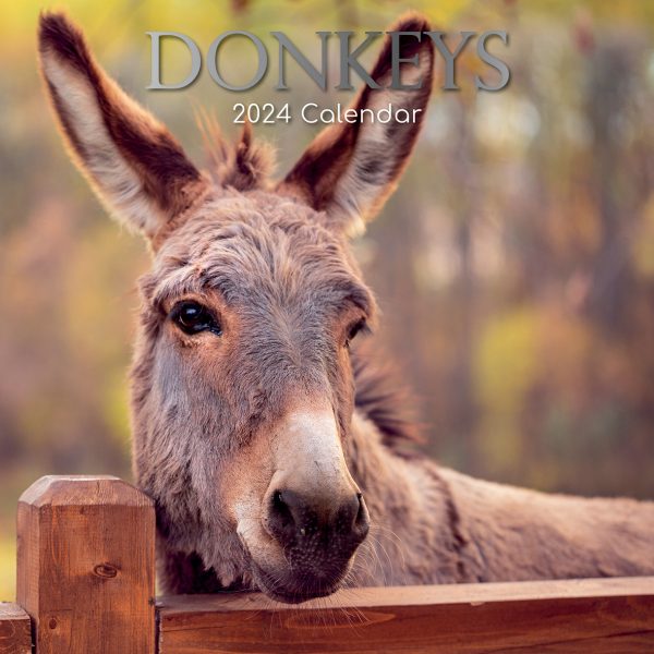 Donkeys – 2024 Square Wall Calendar Pets Animals 16 Months New Year Planner Gift