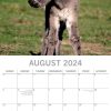 Donkeys – 2024 Square Wall Calendar Pets Animals 16 Months New Year Planner Gift