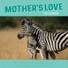 Mother’s Love – 2024 Square Wall Calendar Pets Animals 16 Months Premium Planner