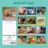 Mother’s Love – 2024 Square Wall Calendar Pets Animals 16 Months Premium Planner