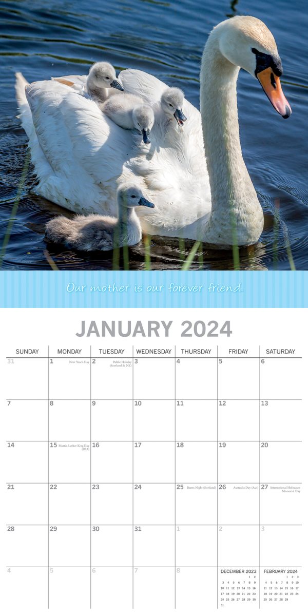 Mother’s Love – 2024 Square Wall Calendar Pets Animals 16 Months Premium Planner