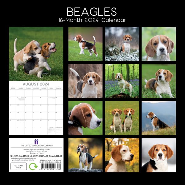 Beagles – 2024 Square Wall Calendar Pets Dog 16 Months Premium Planner New Year