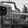 Steam Trains – 2024 Square Wall Calendar 16 Month Black & White Planner New Year