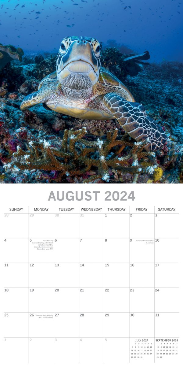 Under the Sea 2024 Square Wall Calendar 16 Month Planner Christmas New Year Gift
